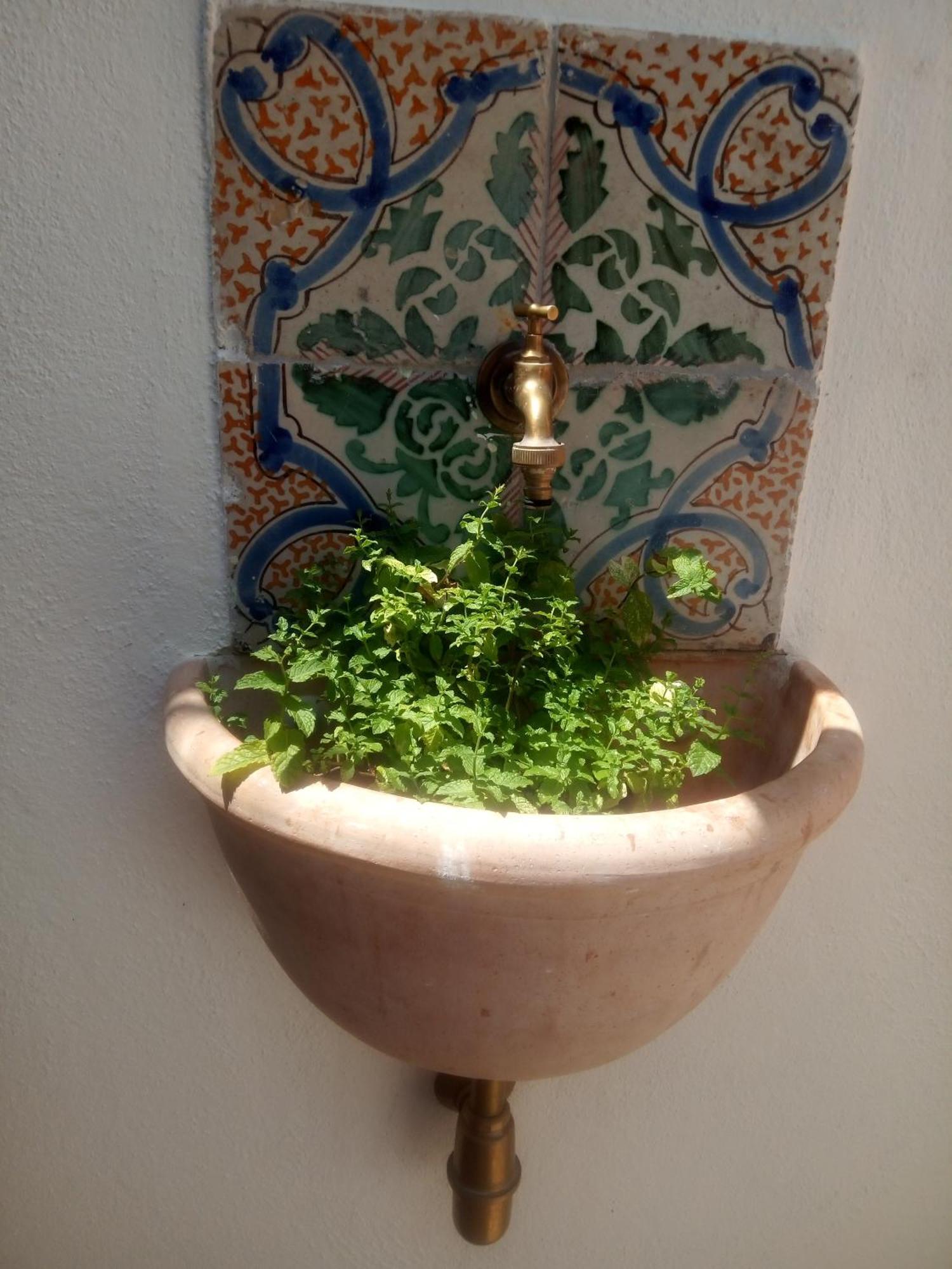 巴勒莫Il Terrazzino Sul Kemonia公寓 外观 照片