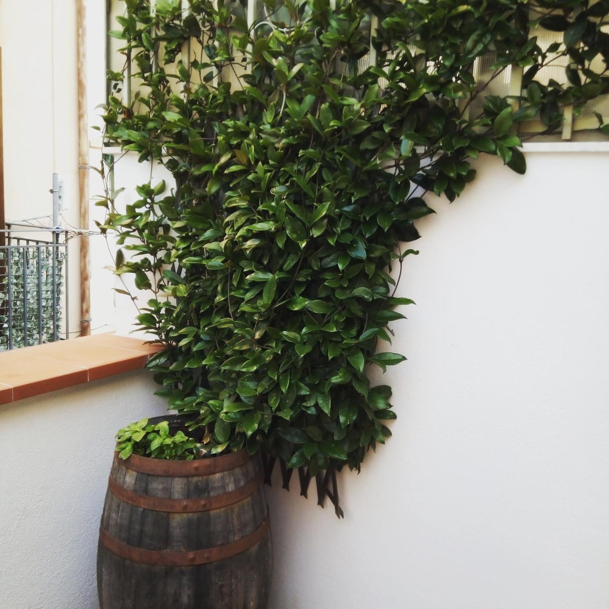 巴勒莫Il Terrazzino Sul Kemonia公寓 外观 照片