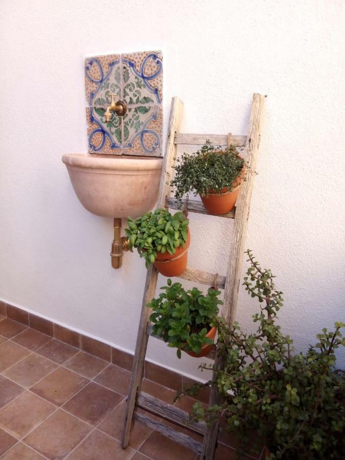 巴勒莫Il Terrazzino Sul Kemonia公寓 外观 照片